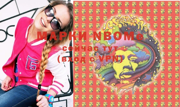 индика Армянск